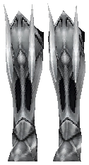 Steel Plate Boots