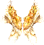 Angel Wings