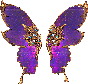 Genius Wings