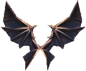 [Bound] Wings of Dragon