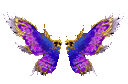 Wings of Fate