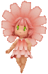 Chrysanthemum(Evolved)