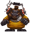 DJ Monkey