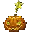 Pumpkin of Luck