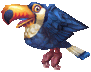 Rio