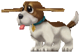 Shinan Beagle