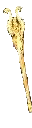 Chrome Staff